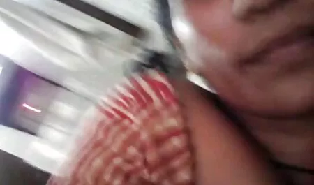 Người mỹ đã mò mẫm, sec nguoi va thu cho một cách để thư giãn.