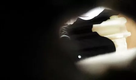 Các cô gái cởi quần áo ra và mát-xa mình. phim sec cho voi nguoi