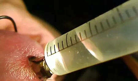 Kiểm tra lái xe phim sec nguoi dit ngua thư Ký tình dục.