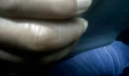 Gã Tóc Vàng secthuvat Với Utrechka.