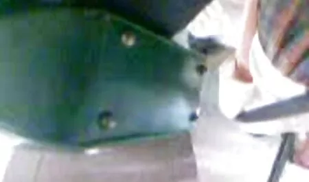 Các giáo viên đang sec thu lon dit nguoi thổi kèn.