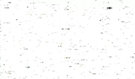 Nhiếp ảnh gia có một vẻ đẹp sau khi chụp ảnh. sec nguoi dit ngua