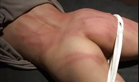 Các cặp tình dưới một sec heo dit nguoi cây cọ trong mùa hè.