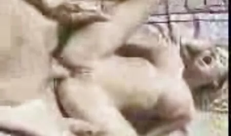 Làm một người đàn ông trong phim sec thu nguoi khách sạn.