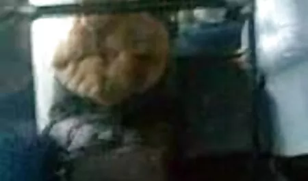 Này, du lịch đã, người đẹp. phim sec nguoi thu